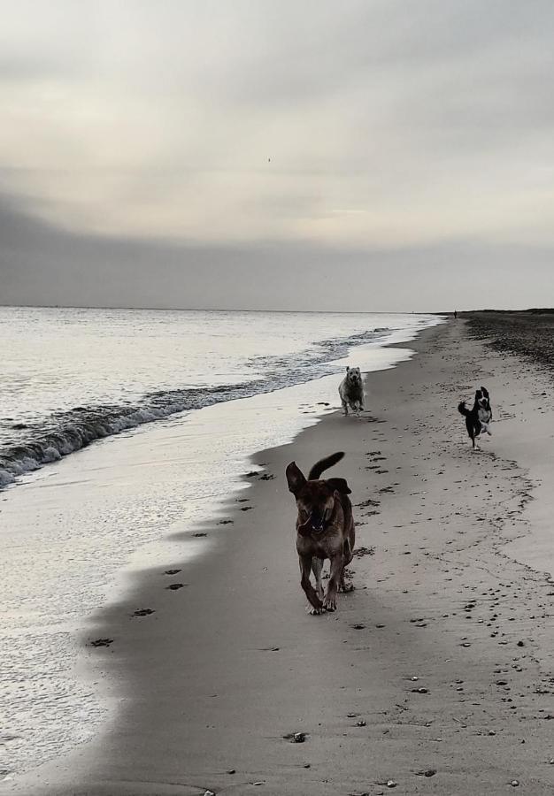 Dune Cottage Caister-on-Sea Buitenkant foto